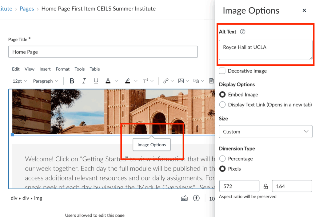 Screenshot of how to locate where to add alt text to an image