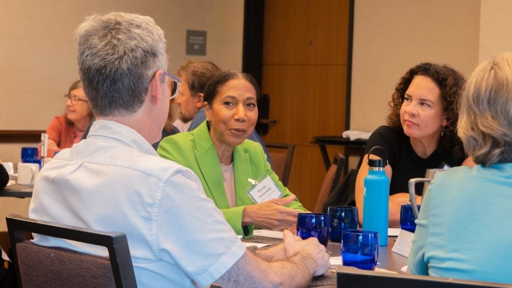 DaD Fellows gathered at a table in conversation